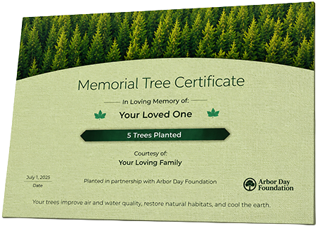 Plant Trees in Memory of Norma D Walker